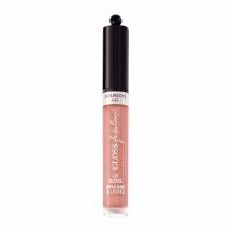 BOURJOIS Fabuleux Gloss Brilliant Lip Gloss